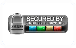 256 Bit Encryption Checkout