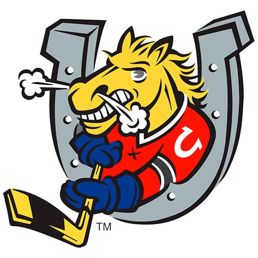 Barrie Colts vs. Brantford Bulldogs