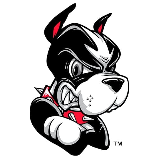 Boston University Terriers Hockey Tickets