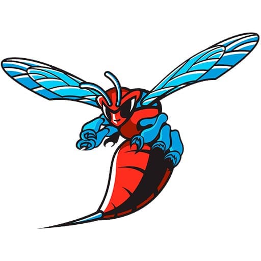 Delaware State Hornets Tickets