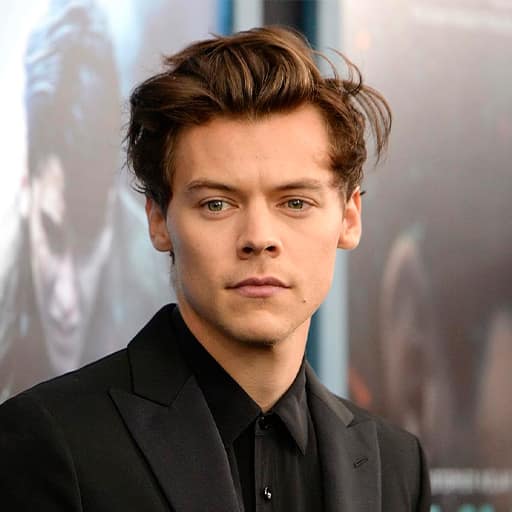 Harry Styles VIP Tickets