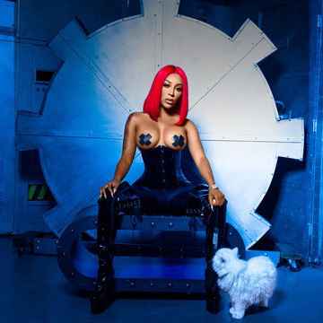 K. Michelle Tickets