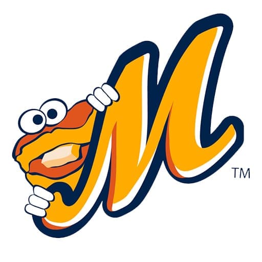 Montgomery Biscuits Tickets 2024/2025 Season