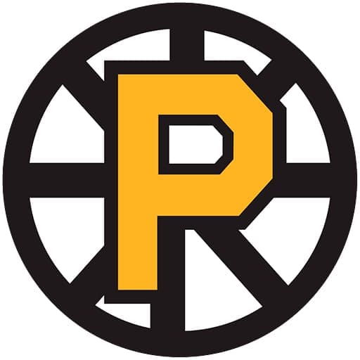 Bridgeport Islanders vs. Providence Bruins