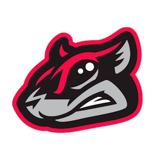 Richmond Flying Squirrels Tickets 2026 2027 Season richmond-flying-squirrels-tickets-2026-2027-season