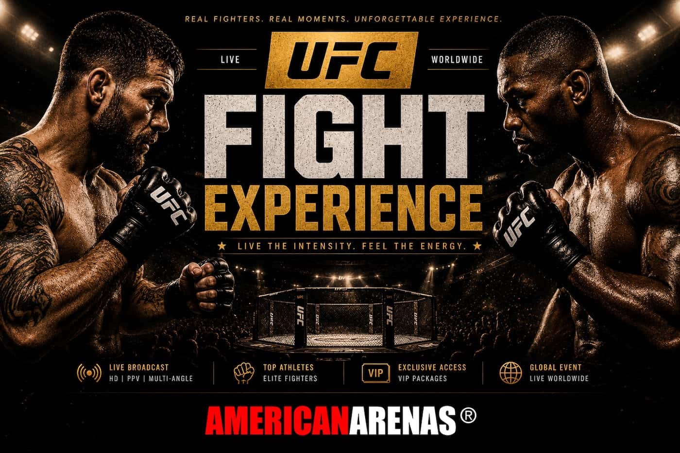 UFC Fight Experience