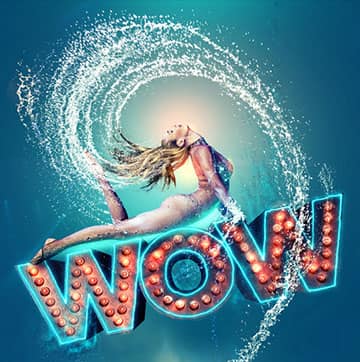 WOW - The Vegas Spectacular Tickets